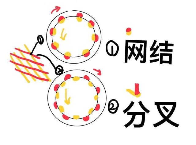 包水果的泡沫网兜，为什么做出来就是一个立体的网？