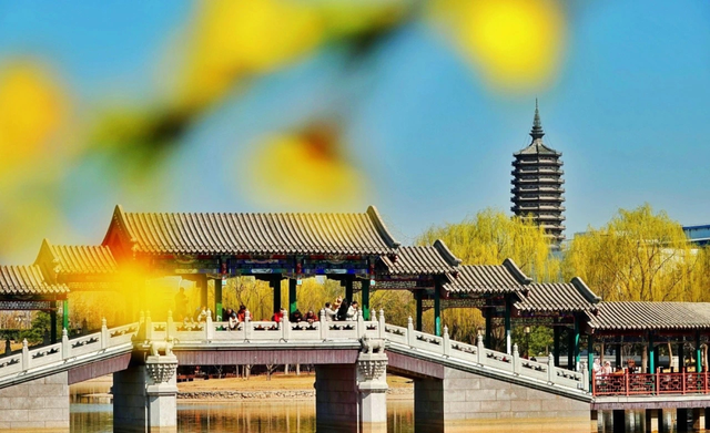 副中心30个公园变身“清凉秘境”！游船、浅滩、亲水乐园全都有