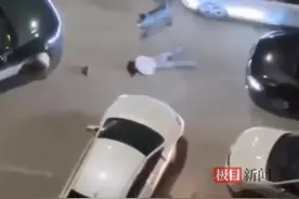 西安两只烈性犬凌晨撕咬女子，律师：禁养的狗伤人，饲养人面临更重的法律责任图片