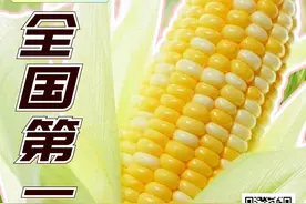 真的没想到丨张家口农业竟然有这么多“全国第一”图片