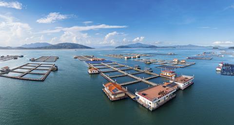 �ȴ�����й�����ح���գ��������˶��١��ڿƼ�����