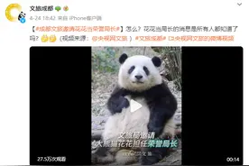 官宣！“花局”简历来了→图片