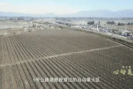 跨越南北半球！你吃到的每一颗智利车厘子，都与它有关！中国建设者参与修建→图片