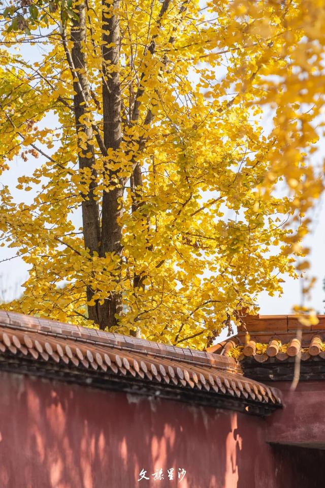 周末放晴！来长沙县这些地方“撒欢”吧！