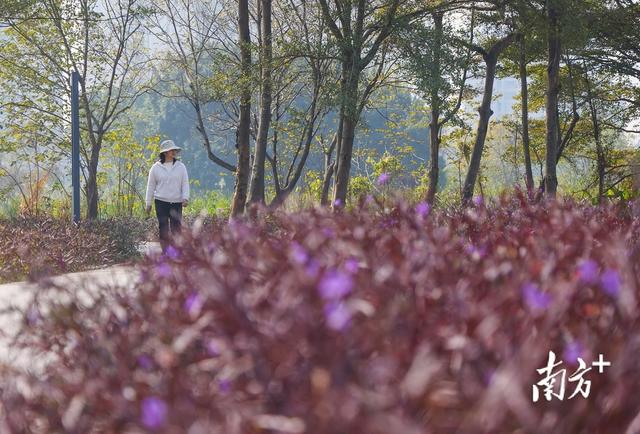 图集｜休闲新去处！中山沙咀生态公园对外开放
