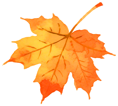 敦化藏着最暖的惬意，精彩深秋体验别错过→