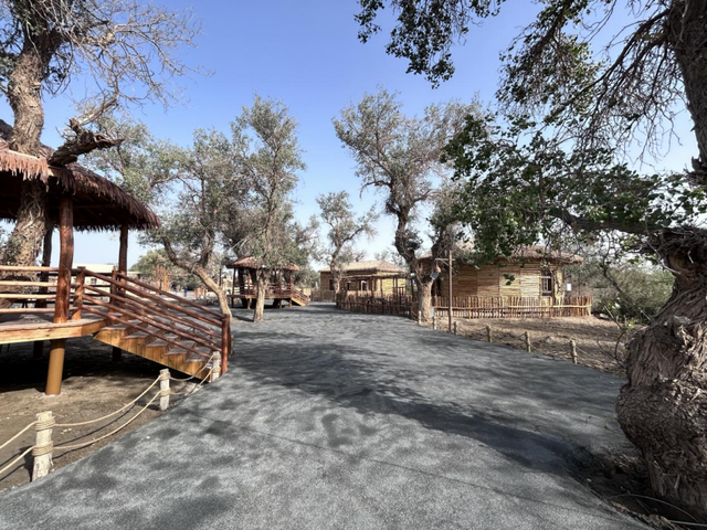 千年之后，“楼兰的后裔”在大漠重建家园