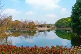 沪上城市公园再增36座，来看名单→图片