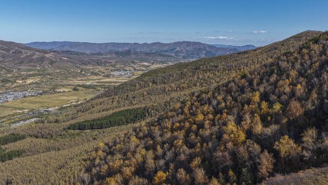 层林尽染，山川秀美！河北围场秋意正浓