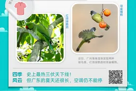 温度记丨史上最热三伏天下线！但广东的夏天还很长，空调仍不能停图片