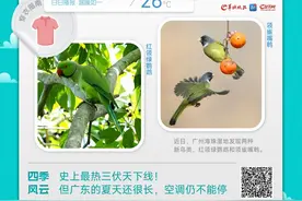 温度记丨史上最热三伏天下线！但广东的夏天还很长，空调仍不能停图片