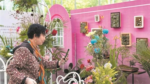 家乡展新颜 遍开幸福花