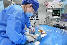 生死时速之间 急诊重症监护室是如何炼成的图片