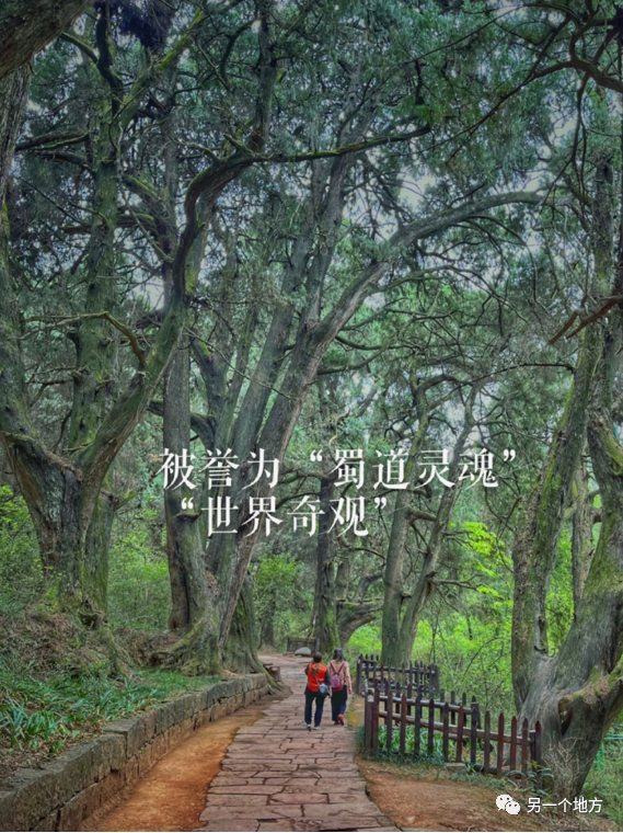 阆中：蜀道上的水陆咽喉，城市遗存的活化石