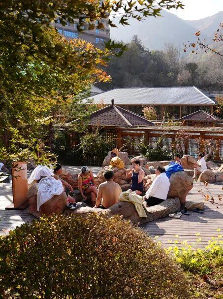 初冬的第一份暖意，藏在唐家湾里