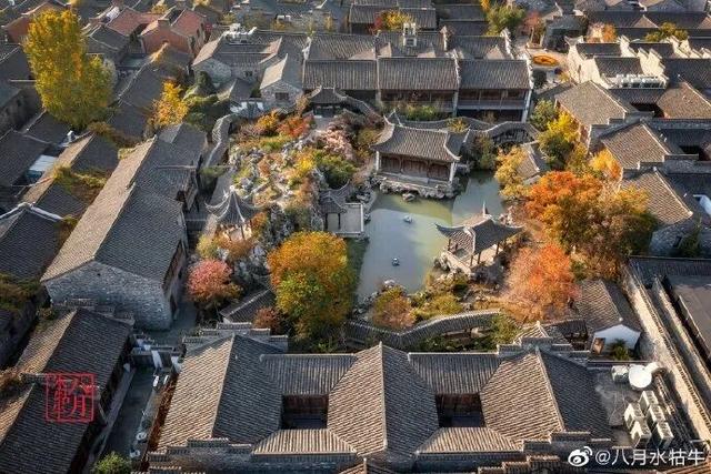 这个元旦假期，把时光“浪费”在秦淮最美的园子里~