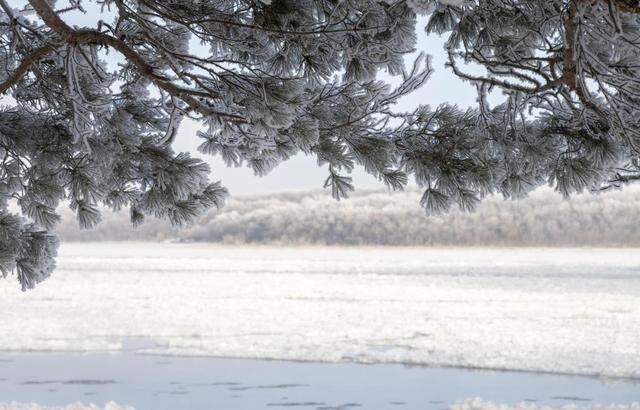黑龙江呼玛：雾凇美景醉游人