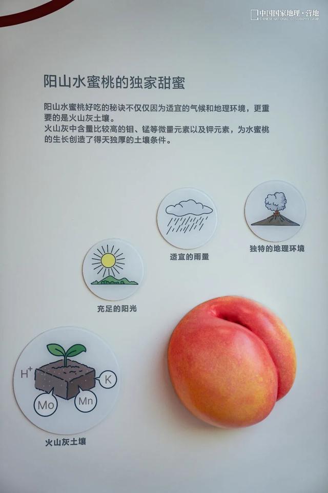 阳山自然驿站矩阵落成，全域科学体验线路启用