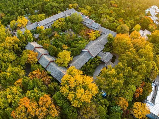 菊采芬芳蕊 诗留酩酊篇——千载盛景千佛山