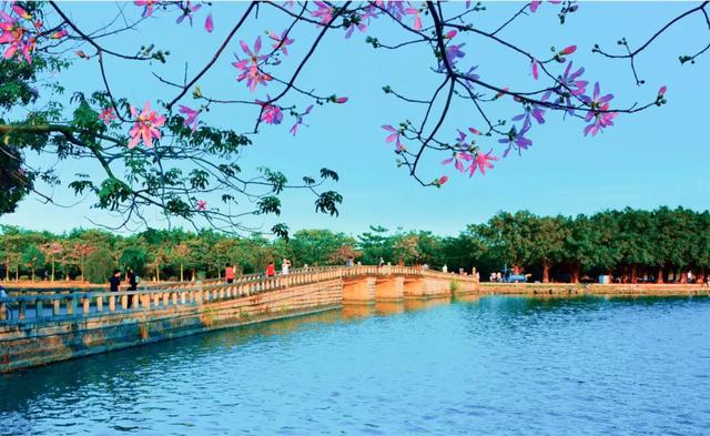 《莆田乡讯》2025年8月号（乡土）