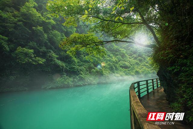 盛夏避暑好去处 张家界迎来清凉一夏