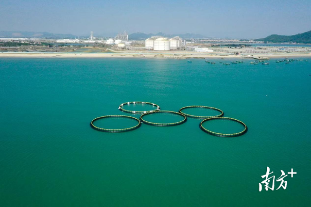 茂名滨海新区厚植“好心”文化，打造“近悦远来”的营商高地