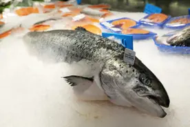 将恢复日本水产品进口？中方回应图片