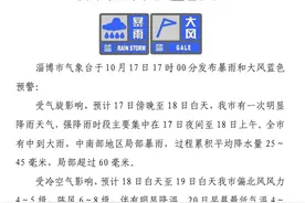 局部暴雨+阵风8级！淄博发布暴雨+大风双预警图片
