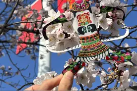 好景山东·潍坊丨樱花烂漫绽放，打造梦幻花海与城市生态画卷图片