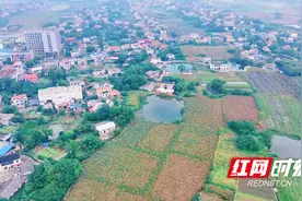 全面清零！长沙奥体中心“解锁”南城发展新机遇图片