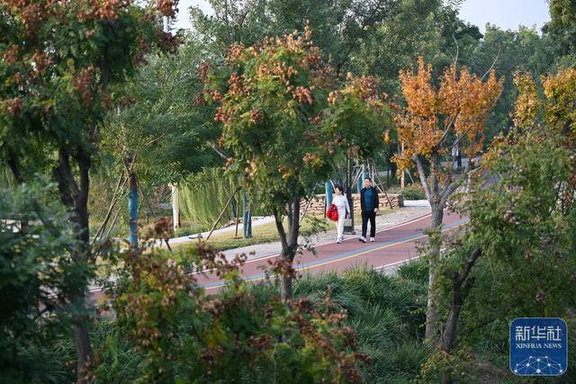 河北沧州：大运河堤顶路铺就美好生活新图景