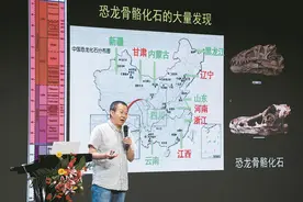 恐龙化石中的大发现：很多熟悉的动物也能被定义为恐龙图片