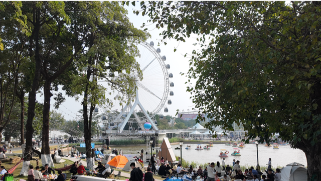 大沥做强公园经济集群，点亮文旅新图景