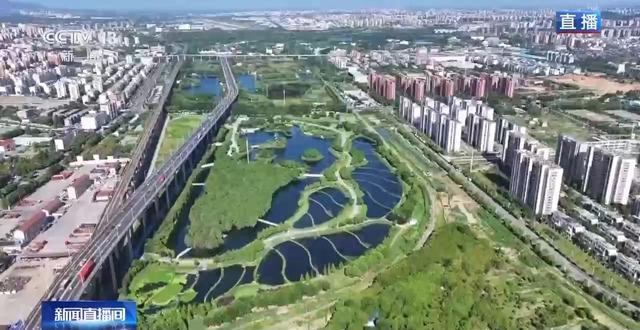 尾水湿地变成生态公园？记者探访芜湖这座会“净水”的公园