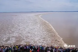 农历八月十八 钱塘江一线潮气势磅礴图片