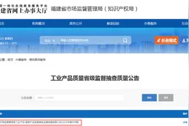 福建省市场监督管理局工业产品-服装产品质量省级监督抽查结果公告(2024年第009期)图片