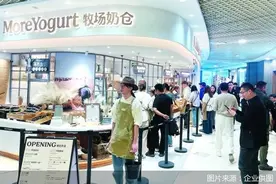 危机后瞄准高端 茉酸奶如何冲出红海图片