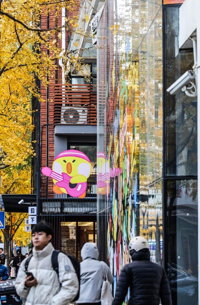 局门路百米银杏长廊热度飙升，找到这个隐藏打卡机位分分钟拍出金秋绝美大片