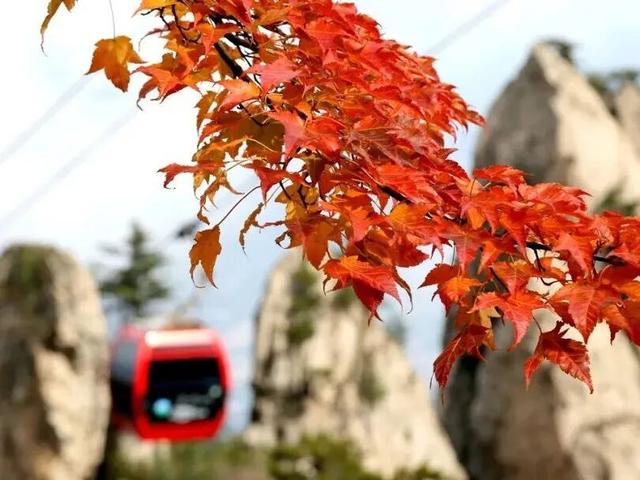 官宣！洛阳国庆中秋旅游全攻略来了