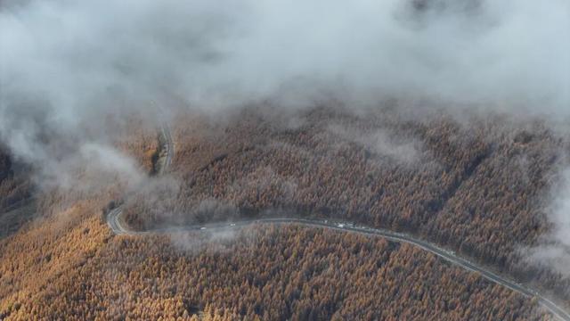 金秋五台山 醉美山色入画来