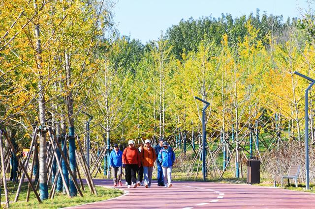 一湖两堤十二岛，玉河湿地公园正式开园迎客