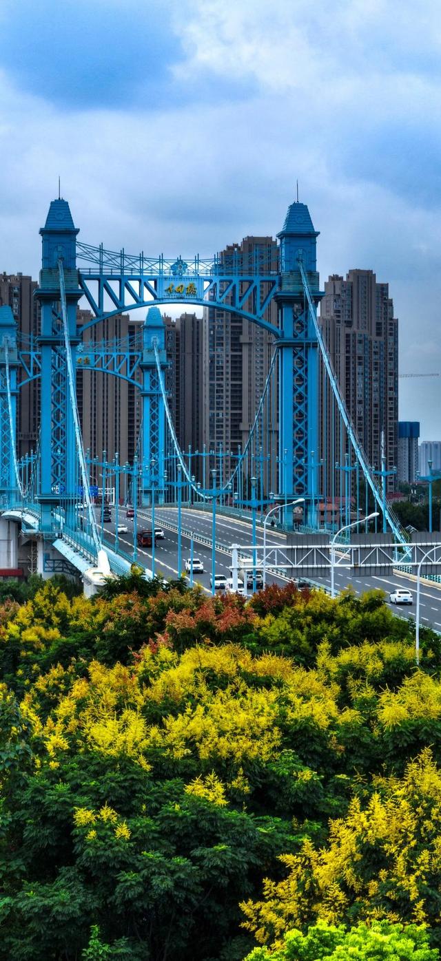 汉江湾体育公园：栾树披上秋装