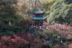 “枫”情万种！湖南赏枫地图上新图片
