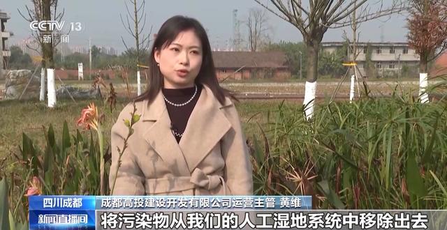 “300米见绿，500米见园” 成都打造长效发展“千园之城”