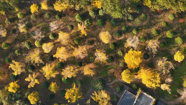 南漳秋色正当时！3个赏秋好去处，一键收藏绝美秋景