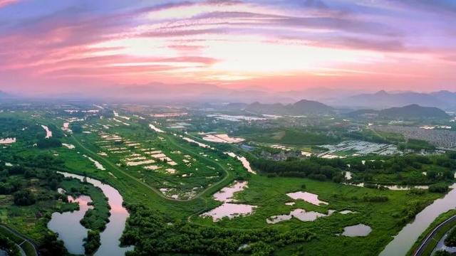 看！西险大塘的“蝶变四重奏”