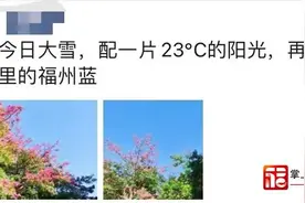 -0.8℃？福州出现零下低温！未来几天……图片