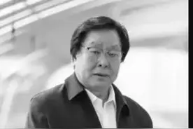 盖玫瑰园，种马铃薯，山东企业家“土豆大王”梁希森走了图片