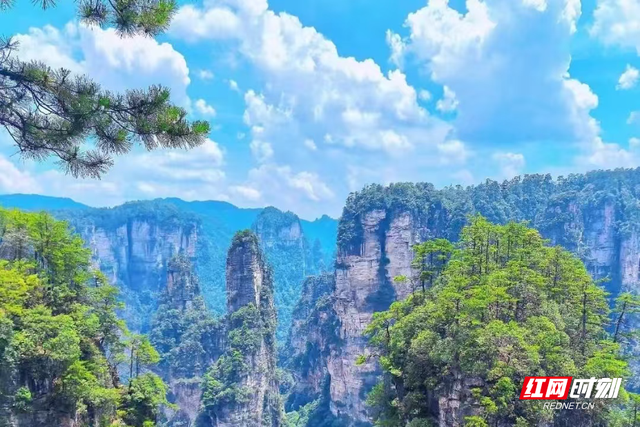 张家界国家森林公园：蓝天白云勾勒绝美山水画卷