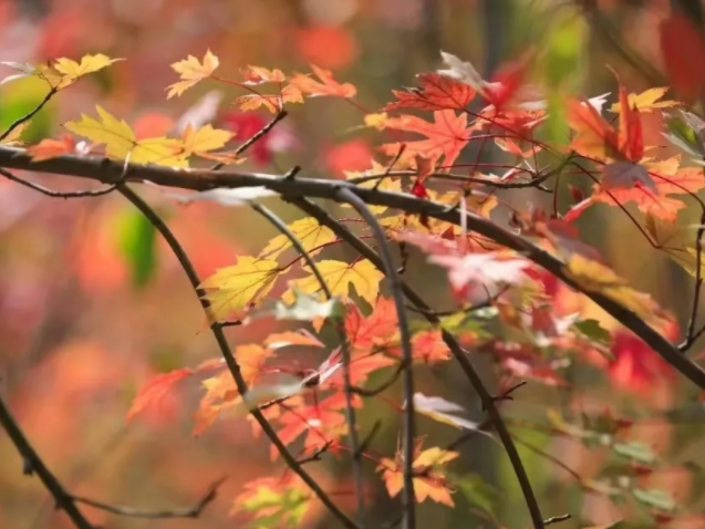 9天长假去哪玩！福州上榜春节热门旅游目的地